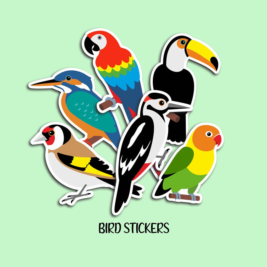 Colourful bird stickers 6 pack wildlife